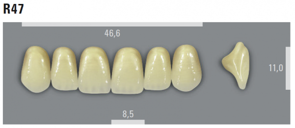VITA MFT фронтальные верхние зубы, цвет 2M1 (D2), размер R47, 6 шт.
