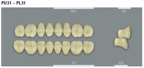 VITA MFT боковые нижние зубы, цвет 1M1 (B1), размер PL31, 8 шт.