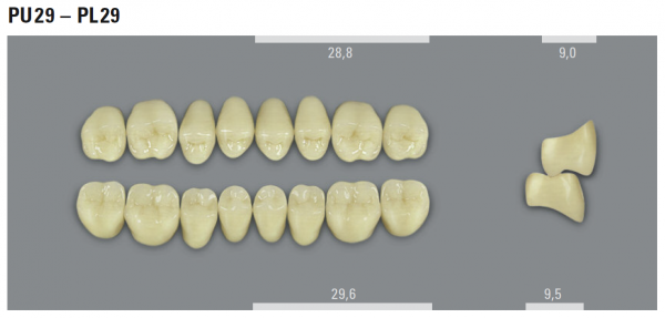 VITA MFT боковые нижние зубы, цвет 2M1 (D2), размер PL29, 8 шт.