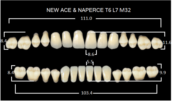 Yamahachi Gloria New Ace & Naperce A3 T6/M32 - акриловые двухслойные зубы