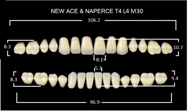 Yamahachi Gloria New Ace & Naperce A1 T4/M30 - акриловые двухслойные зубы